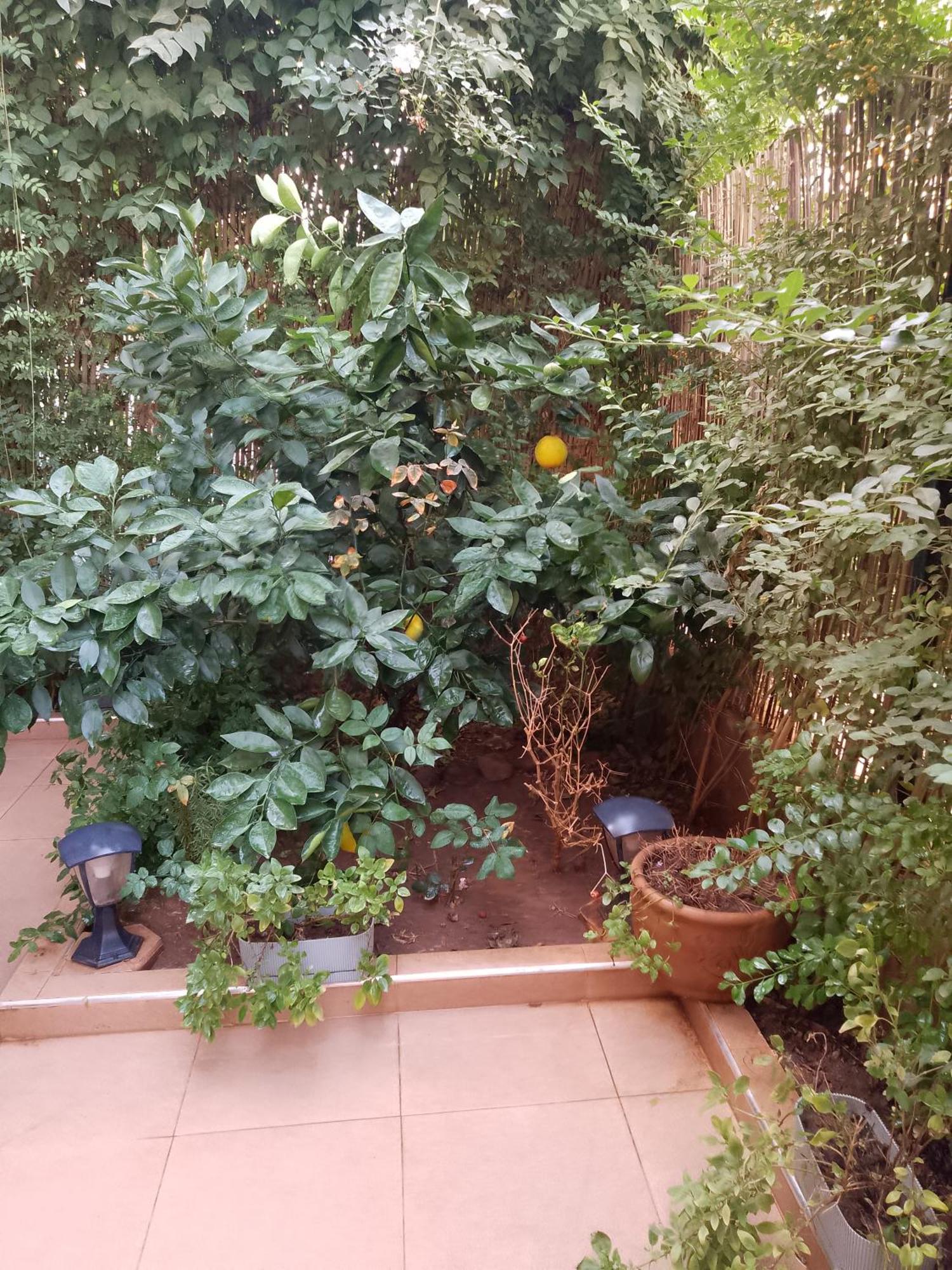 Apartment Aux Portes De Marrakech Marrakesh